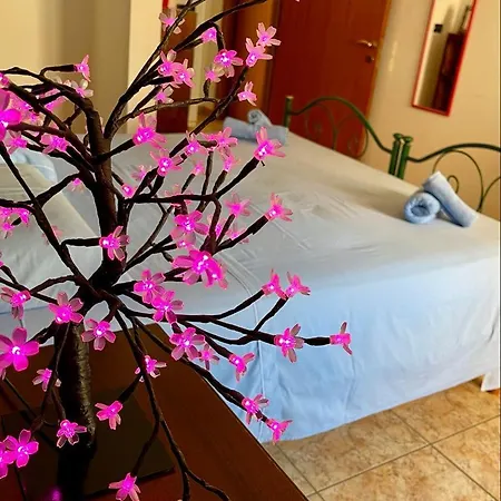 Bed & Breakfast Arche