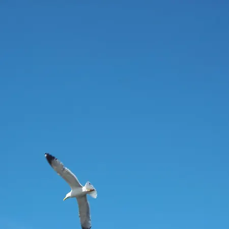 Archè Couette-café *